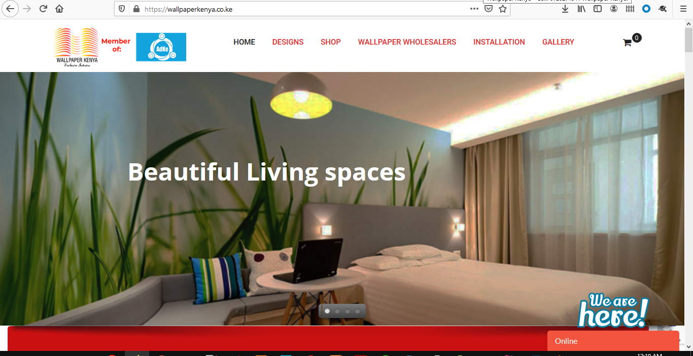 portfolio-website design services